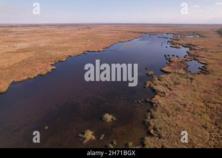 Vista aerea, muovendosi in avanti sopra i rami del fiume è un (fiume Danubio) scorre tra gli infiniti addensati di canne. Foto Stock