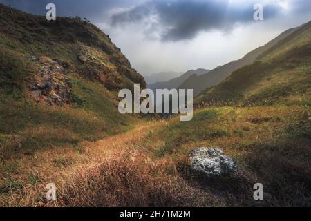 un primo piano di una lussureggiante collina verde Foto Stock