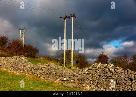 Muri a secco e pali elettrici con alberi a Middleton Moor vicino all'High Peak Trail nel Derbyshire Dales Peak District Inghilterra UK Foto Stock