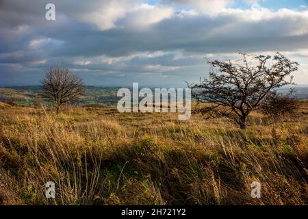 Cielo tempestoso e alberi a Middleton Moor vicino a Wirksworth, vicino all'High Peak Trail nel Derbyshire Dales Peak District Inghilterra UK Foto Stock