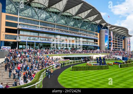 Grandstand all'ippodromo Royal Ascot, Royal Berkshire, Regno Unito, durante l'evento sportivo Red Bull Air Race 2014. Anello di sfilata con erba del prato immacolata Foto Stock