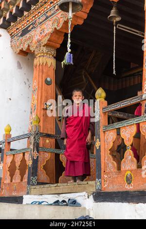 Un giovane monaco buddista novizio alla scuola monastica di Dechen Phodrang a Thimphu, Bhutan. Foto Stock