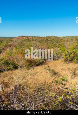 Una vista del paesaggio di caatinga in autunno (inizio della stagione secca), alberi e arbusti perdere le loro foglie - Oeiras, stato di Piaui, Brasile Foto Stock