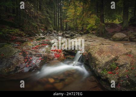 Foto panoramica delle cascate Rissloch vicino a Bodenmais nella foresta bavarese, Germania Foto Stock