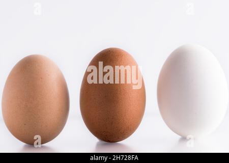 Tre (3) diverse sfumature di uova naturali organiche su sfondo bianco. Concetto di diversità e differenza Foto Stock