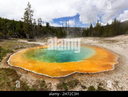Piscina termale calda di mattina Glory, parco nazionale di Yellowstone, Wyoming, Stati Uniti Foto Stock
