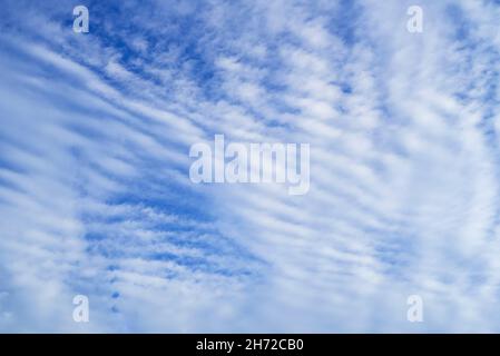 Altocumulus stratiformis undulatus formazione di nube di media altitudine Foto Stock