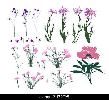 Un insieme di fiori diversi. Illustrazione vettoriale Illustrazione Vettoriale