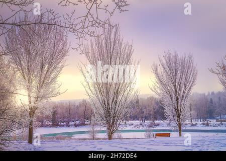 Sole che splende sopra Un parco invernale Foto Stock