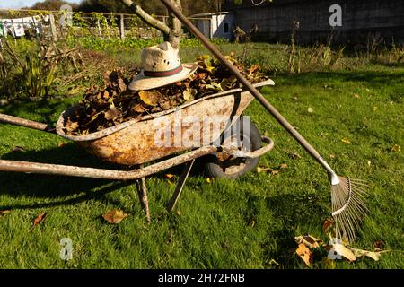 carriola piena di foglie secche Foto Stock