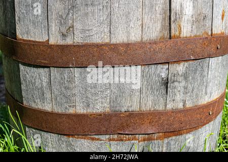 Grande botte di vino di legno con canne arrugginite Foto Stock