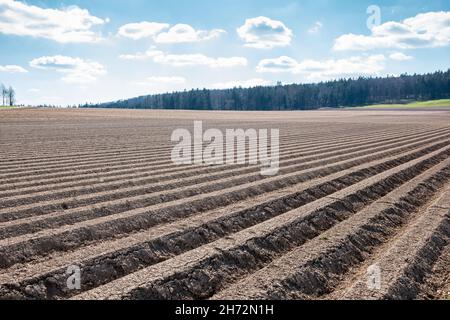 Grandi campi di colore marrone del terreno fertile e verde bosco in background Foto Stock