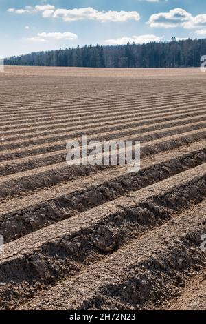 Grandi campi di colore marrone del terreno fertile e verde bosco in background Foto Stock