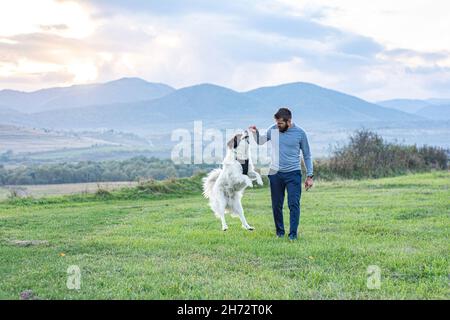 Energico cane che salta per un bastone .Man con il suo cane che gioca all'aperto nel parco. Foto Stock