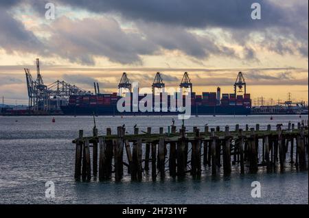 grande nave container nel porto di southampton attracca il carico/scarico presso il centro di distribuzione dp world container con gru e vecchia jeyy al tramonto Foto Stock