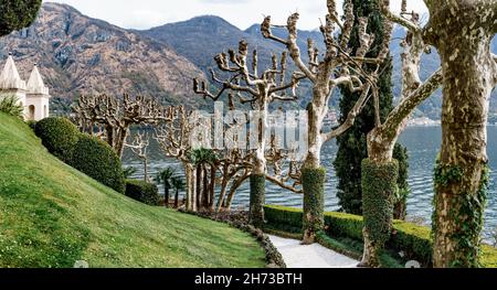 Vicolo di platani sul pendio di Villa Balbianello. Lago di Como, Italia Foto Stock