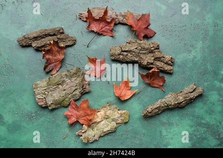 Foglie di acero autunnale e corteccia di alberi su sfondo colorato Foto Stock