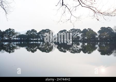 Paesaggio con un lago e una striscia di alberi. Willow vicolo nel lago occidentale. Il lago Ovest di Hangzhou è uno dei luoghi più famosi della Cina Foto Stock