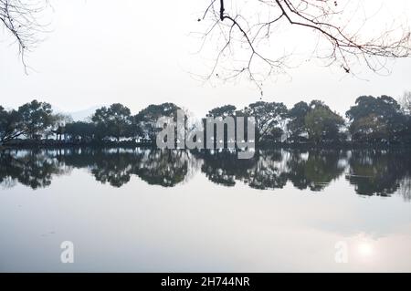 Paesaggio con un lago e una striscia di alberi. Willow vicolo nel lago occidentale. Il lago Ovest di Hangzhou è uno dei luoghi più famosi della Cina Foto Stock