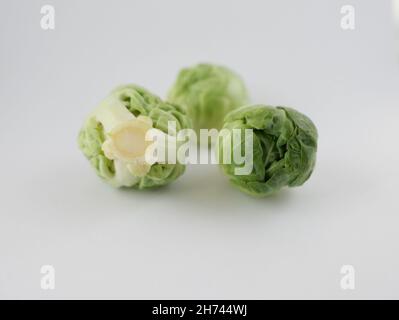 Gruppo di tre bruxelles germogli su sfondo bianco chiaro con copyspace Foto Stock