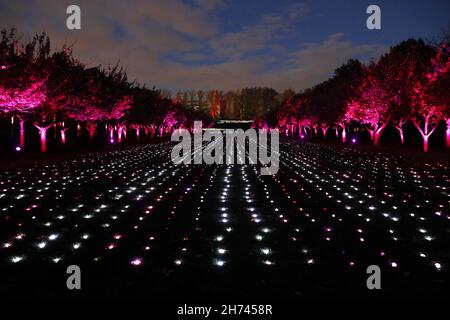 Brooklyn, Stati Uniti. 20 Nov 2021. I bambini e gli adulti visitano le installazioni luminose nella notte di apertura di Lightscape, un percorso dopo il tramonto, illuminato e coinvolgente che celebra la bellezza dell'inverno venerdì 19 novembre 2021 al Brooklyn Botanic Garden. In date selezionate fino al 9 gennaio 2022, il percorso festivo si snoda attraverso il paesaggio di 52 acri della BBG, animato da oltre un milione di luci scintillanti. Foto di John Angelillo/UPI Credit: UPI/Alamy Live News Foto Stock