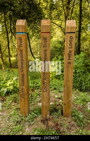 Pali colorati di legno che mettono in evidenza diversi sentieri in un bosco nel Loch Lomond e nel Parco Nazionale Trossachs, Scozia Foto Stock