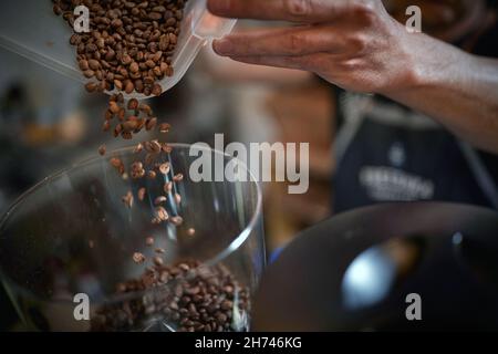 Chicchi di caffè tostati vengono versati in una smerigliatrice ad una  pianta del caffè a San Marcos, Costa Rica Foto stock - Alamy