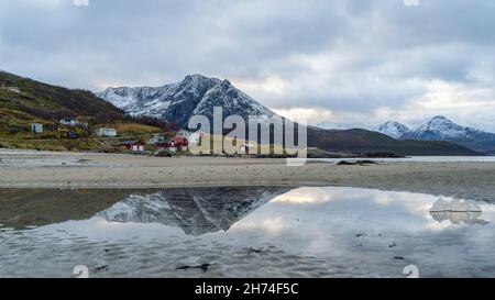 Bucht von Grøtfjord mit der Insel Vengsøya im Hintergrund. Herbst in Troms, Norwegen, gelbe Wiesen, verschneite Berge und bunte Häuser. Facciata posteriore Foto Stock