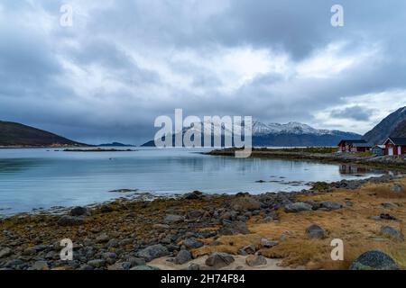 Bucht von Grøtfjord mit der Insel Vengsøya im Hintergrund. Herbst in Troms, Norwegen, gelbe Wiesen, verschneite Berge und bunte Häuser. Facciata posteriore Foto Stock