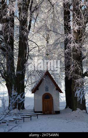 piccola cappella coperta di neve sotto due grandi alberi vecchi in inverno, alberi congelati e neve Foto Stock