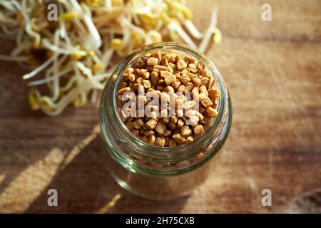 Semi di fieno secchi in un vaso di vetro con germogli Trigonella freschi sullo sfondo Foto Stock