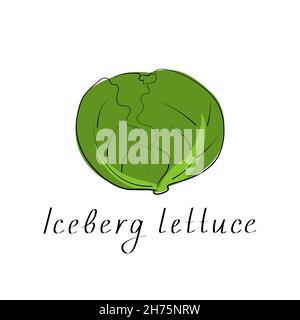 Iceberg lattuga icona colorata. Oggetto isolato. Cibo vegetale biologico. Illustrazione vettoriale Illustrazione Vettoriale