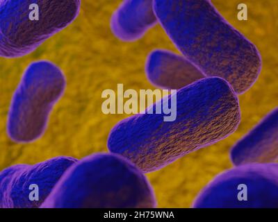 Un'illustrazione di batteri viola su sfondo giallo Foto Stock