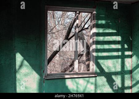 Interno di una casa desolata . Muro verde di fienile abbandonato . Ombra e luce alla parete Foto Stock