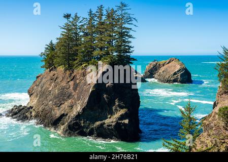 Gli alberi si stabilirono sulla cima di un'isola di roccia Foto Stock
