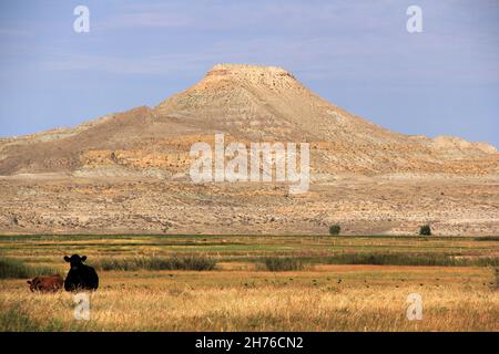 Scenic Crowheart Butte nel Wyoming fu il luogo di una grande battaglia del 1866 tra gli indiani Shoshone e Bannock da un lato e gli indiani Crow dall'altro Foto Stock