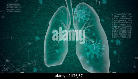 Rotazione 360 polmoni poligonali bassi modello 3D con cellule di coronavirus e animati numeri e diagrammi crescenti. Illustrazione 3D Foto Stock