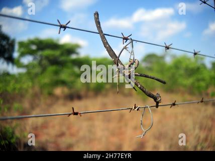 I rangers di gioco nel Parco Nazionale di Kruger stanno lavorando per proteggere gli animali e l'ambiente contro i gruppi criminali di fauna selvatica in Sudafrica Foto Stock