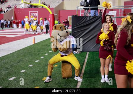 Bloomington, Stati Uniti. 20 Nov 2021. I cheerleaders e la mascotte del Minnesota, Goldy, acclamano contro l'Indiana University durante una partita di football dell'NCAA al Memorial Stadium di Bloomington, Ind. IU ha perso al Minnesota 35-14. (Foto di Jeremy Hogan/SOPA Images/Sipa USA) Credit: Sipa USA/Alamy Live News Foto Stock