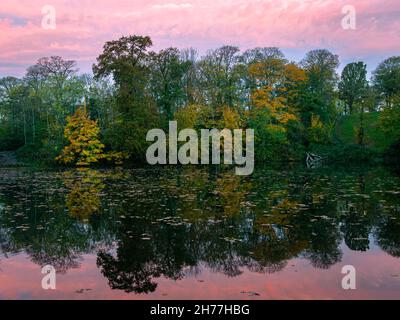 Alberi con foglie autunnali lungo il bordo di un piccolo lago durante l'alba Foto Stock