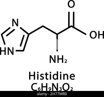 Struttura molecolare dell'istidina. Formula chimica scheletrica di istidina. Illustrazione del vettore della formula molecolare chimica Illustrazione Vettoriale