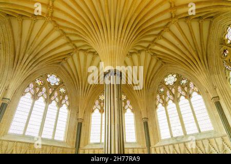 Vista interna della Cattedrale di Wells - il magnifico soffitto a volta della circolare Chapter House, Somerset, Inghilterra, Regno Unito Foto Stock