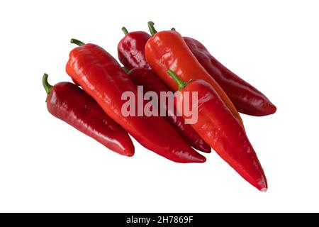 mucchio di peperoni freschi isolati su sfondo bianco, verdure crude, raccolto nuovo di peperoni rossi, vista laterale Foto Stock