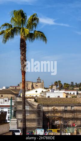 Parque Alameda Vieja en Jerez de la Frontera en la provincia de Cádiz, Bellleza y Detalles / Alameda Vieja Park en Jerez de la Frontera, Cádiz Foto Stock