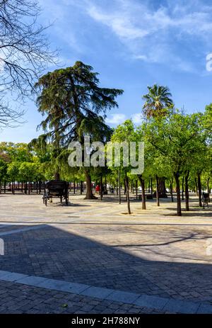 Parque Alameda Vieja en Jerez de la Frontera en la provincia de Cádiz, Bellleza y Detalles / Alameda Vieja Park en Jerez de la Frontera, Cádiz Foto Stock