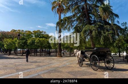 Parque Alameda Vieja en Jerez de la Frontera en la provincia de Cádiz, Bellleza y Detalles / Alameda Vieja Park en Jerez de la Frontera, Cádiz Foto Stock