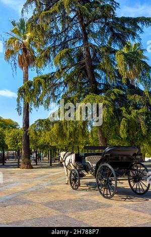 Parque Alameda Vieja en Jerez de la Frontera en la provincia de Cádiz, Bellleza y Detalles / Alameda Vieja Park en Jerez de la Frontera, Cádiz Foto Stock