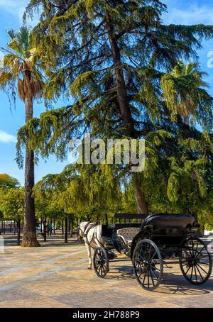 Parque Alameda Vieja en Jerez de la Frontera en la provincia de Cádiz, Bellleza y Detalles / Alameda Vieja Park en Jerez de la Frontera, Cádiz Foto Stock