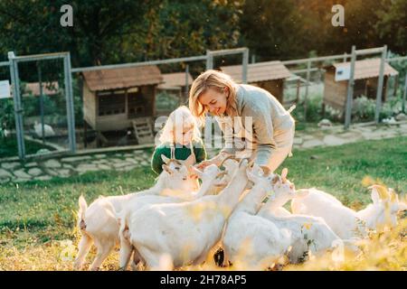 Mamma e bambina nutrono e si preoccupano delle capre nella fattoria. Foto Stock