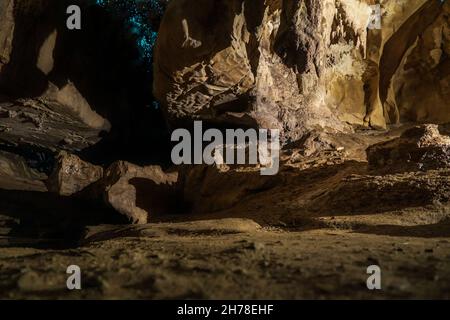 Illuminato Glow Worm Sky in Dark Cave, Waipu Caves, Isola del Nord, Nuova Zelanda Foto Stock